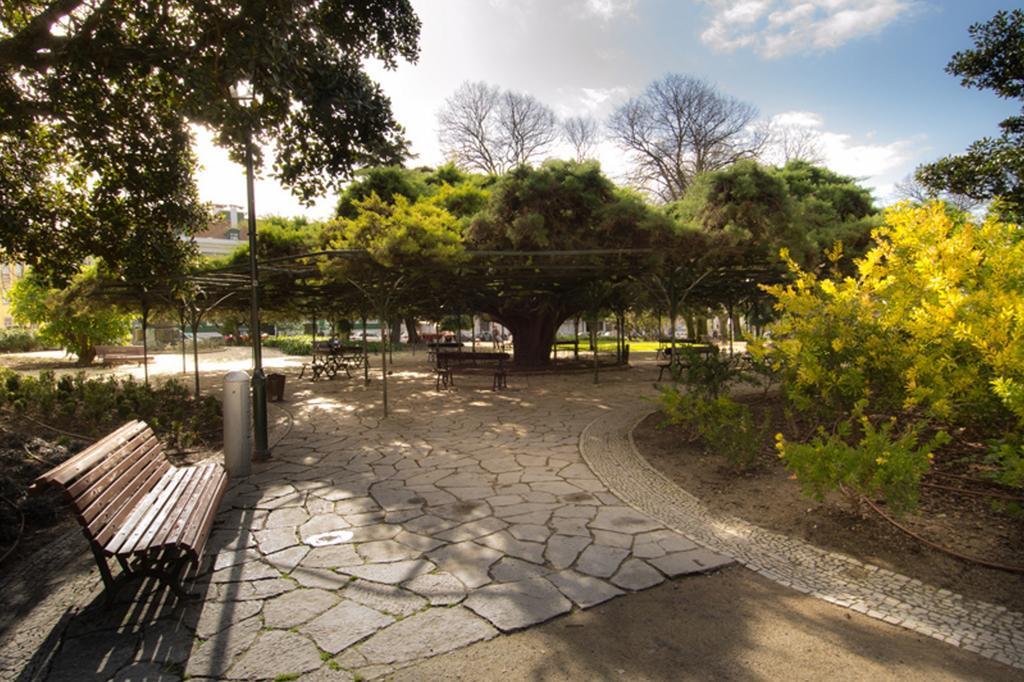 Alegria Center Apartments Lisboa Стая снимка